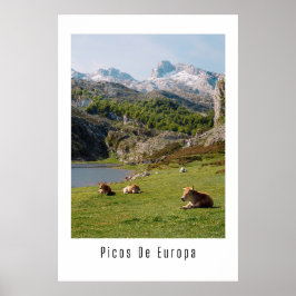 Poster Vista em Picos De Europa, Lagos de Covadonga