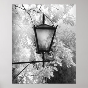 Poster Vista em preto e branco de luminária