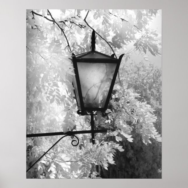 Poster Vista em preto e branco de luminária (Frente)
