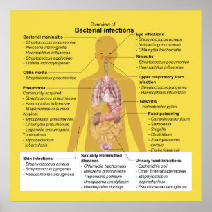Póster Vista geral de infecções bacterianas