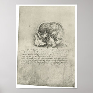 Póster Vista interior do crânio, Leonardo da Vinci