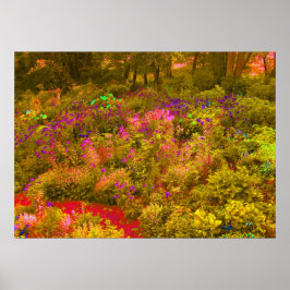 Poster Vista Legal de Jardim Panorâmico Dourado