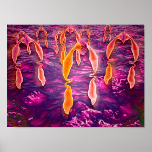 Póster Vista microscópica da ligante que liga a um