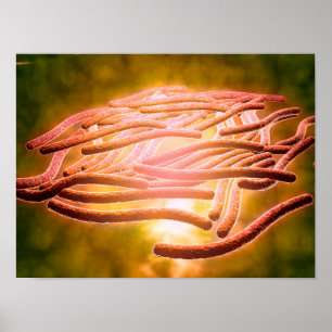 Póster Vista microscópica de Legionella Pneumophila 2