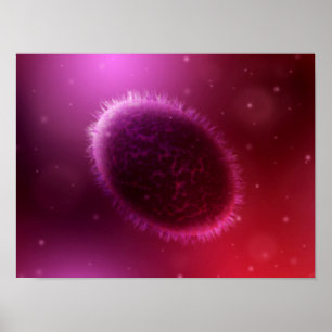 Poster Vista microscópica de Samllpox 1