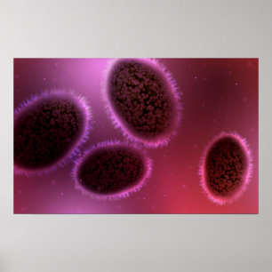 Poster Vista microscópica de Samllpox 2