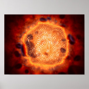 Póster Vista Microscópica Do Parvovírus Canino 4