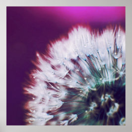 Poster Vista no Abstrato de Macro de Dandalion Rosa Púrpu