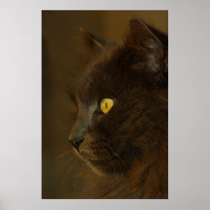 Póster Vista para fora