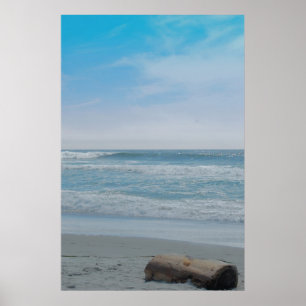 Póster Vista para o mar pacífica do bosque