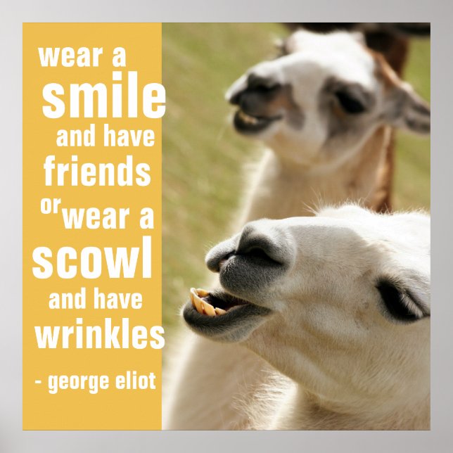 Póster Vista um sorriso e faça uma citação aos amigos Geo (Frente)