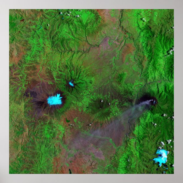 Póster Vista Verde (Frente)