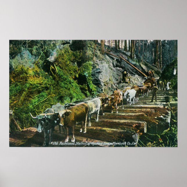 Poster Visualização dos Logs de Hospedagem de Equipes Ox (Frente)