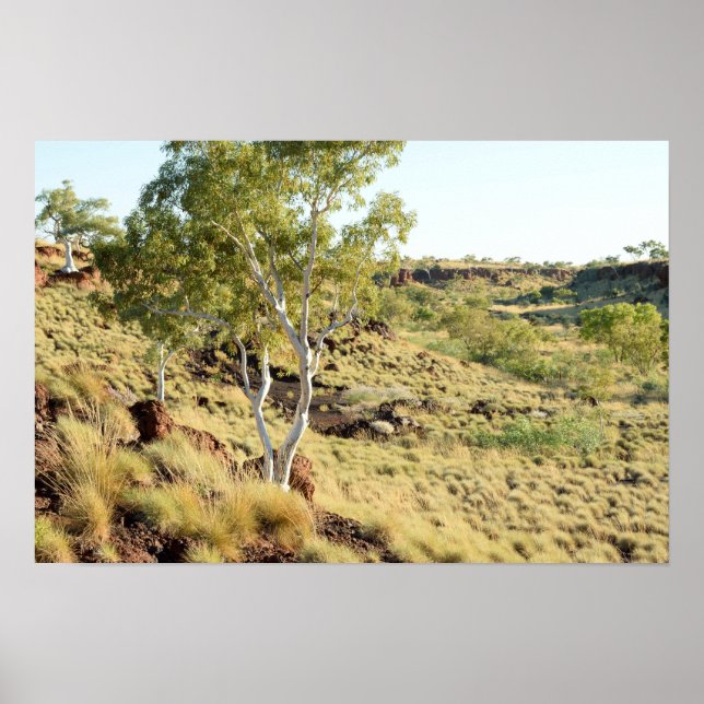 Poster Visualizações do Vale (Frente)