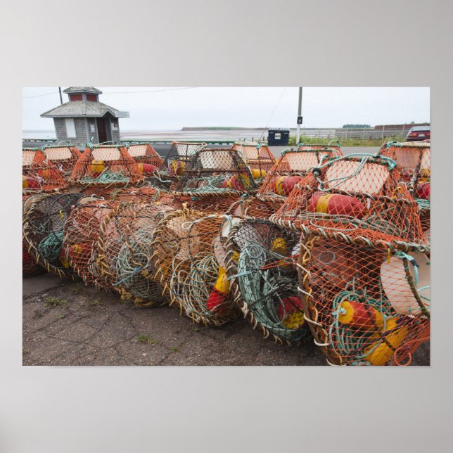 Póster Vitória, Ilha do Príncipe Eduardo. Armadilhas de c (Frente)
