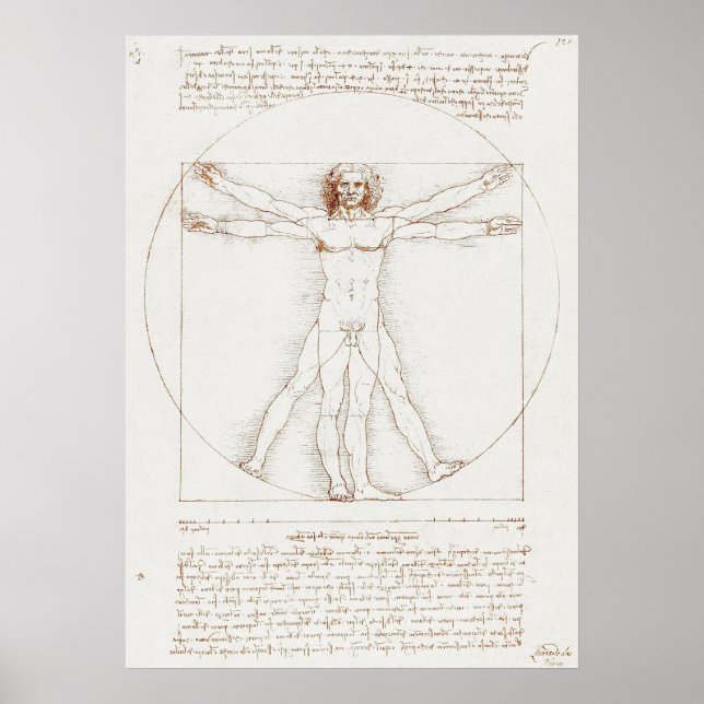 Poster Vitruvian Man Da Vinci (Frente)