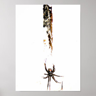 Póster viúva negra