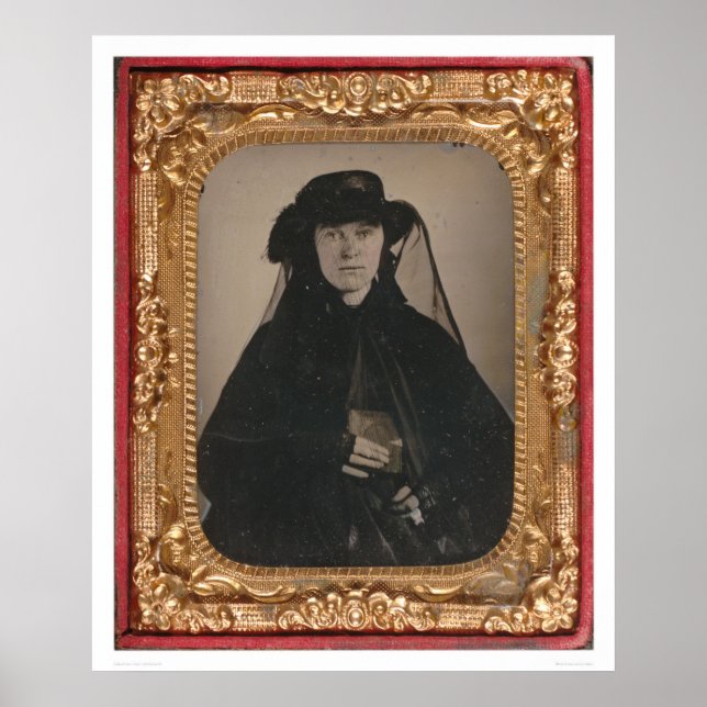 Póster Viúva-rush-ouro jovem (399889) (Frente)