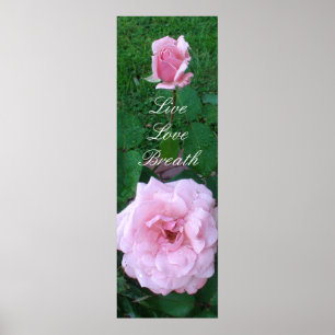 Poster Viva, Ame, Respire Rosas Cor-de-Rosa na Chuva Post