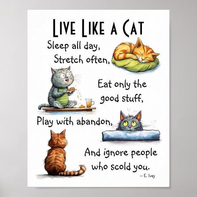 Poster Viva Como um Gato Arte de Parede de Cartoon Humorí (Frente)