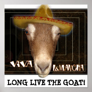 PÓSTER VIVA LAMANCHA, VIVA A CASA!