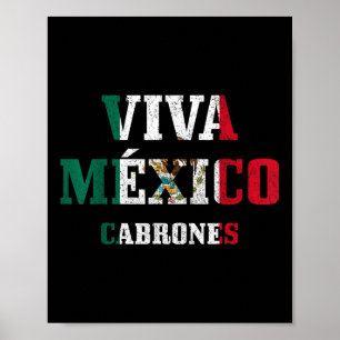 Poster Viva Mexico Cabrones Funny Cinco De Mayo Mexicano 