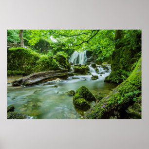 Poster Viva na harmonia