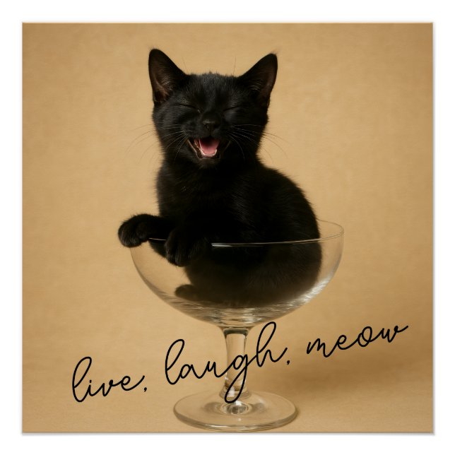 Póster Viva Ria Gato (Frente)