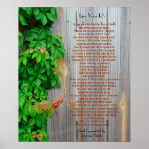 Poster Viva sua vida, Chefe Tecumseh