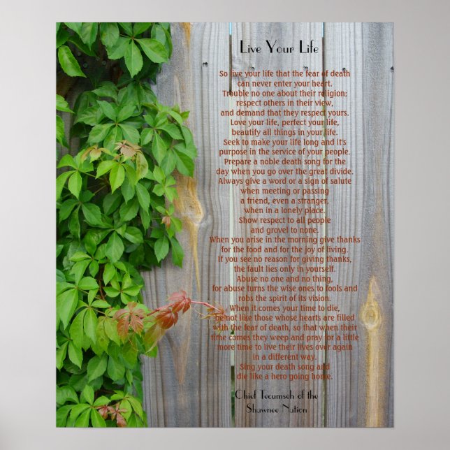 Poster Viva sua vida, Chefe Tecumseh (Frente)