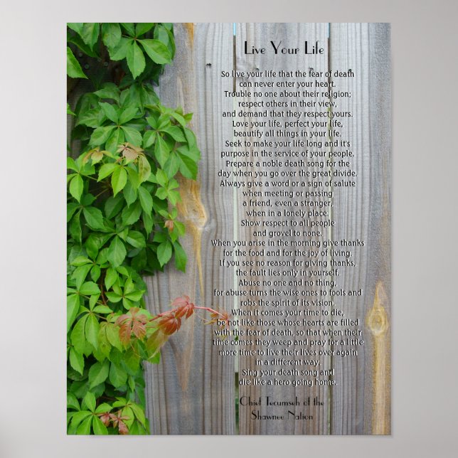 Poster Viva sua vida, Chefe Tecumseh (Frente)