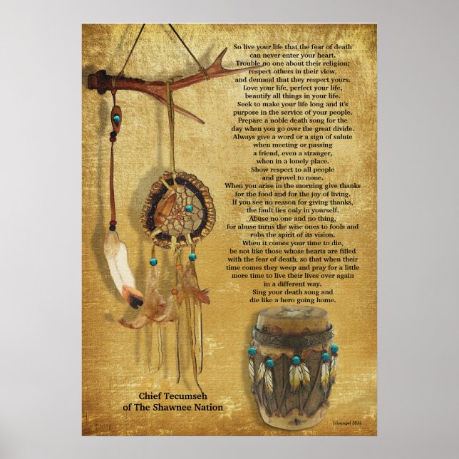 Poster "Viva sua vida" Tecumseh Dreamcatcher e Drum (Frente)
