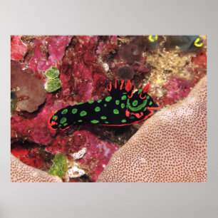 Poster Vivid Nudi