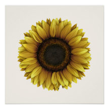 Vivid Sunflower Botanical Art Design