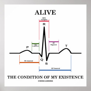 Póster Vivo A Condição Da Minha Existência (ECG/EKG)