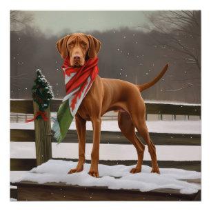 Póster Vizsla Dog no Natal da Neve