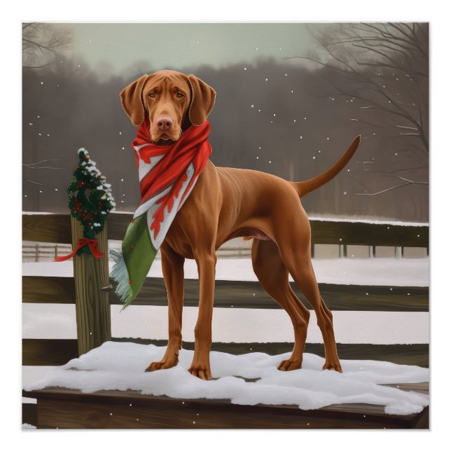 Póster Vizsla Dog no Natal da Neve (Frente)