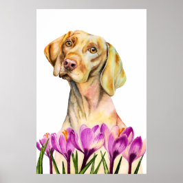 Poster Vizsla Dog Watercolor Painting, Belas Artes