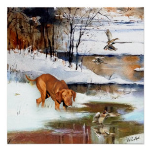 Póster Vizsla húngara, patos de caça no inverno