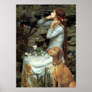 Poster Vizsla - Ophelia Seated