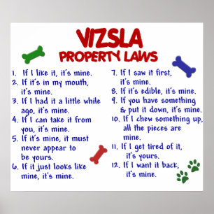 PÓSTER VIZSLA PL2