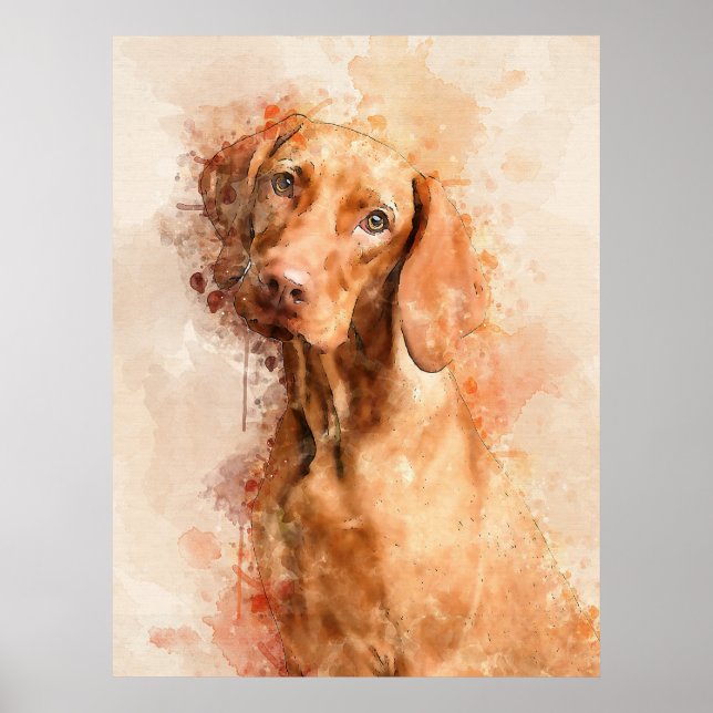 Poster Vizsla Watercolor (Frente)