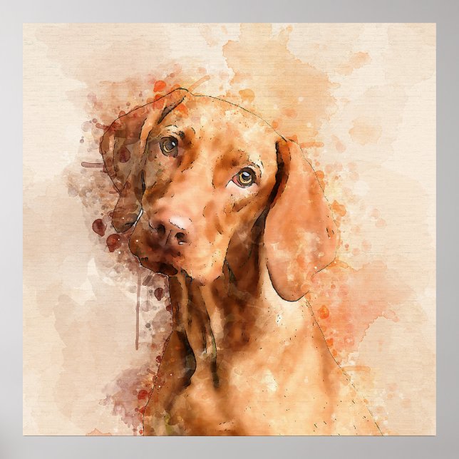 Poster Vizsla Watercolor (Frente)