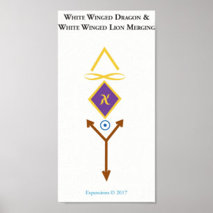 Poster voado branco voado branco do dragão do le