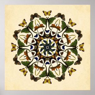 Poster voado da arte do caleidoscópio da borbolet