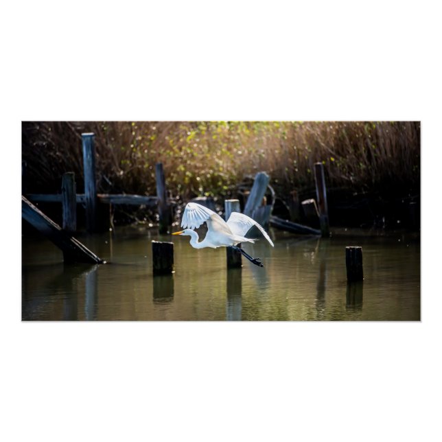 Póster Voando (Frente)