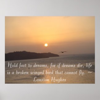 Póster Voando para o Sol