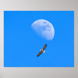 Póster Voando pela Lua