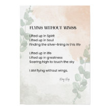 Voando sem Poesia das Asas Palavras Escritas