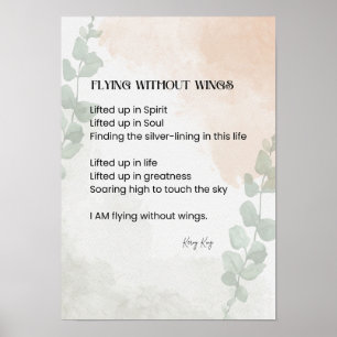 Poster Voando sem Poesia das Asas Palavras Escritas